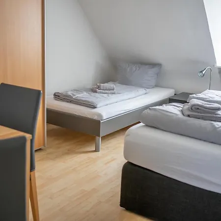 酒店 泽林内霍夫旅馆 3*