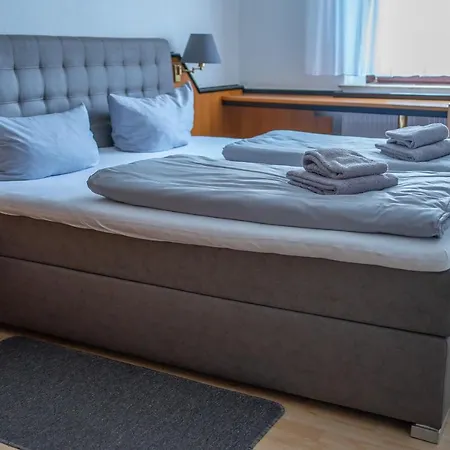 酒店 泽林内霍夫旅馆 3*