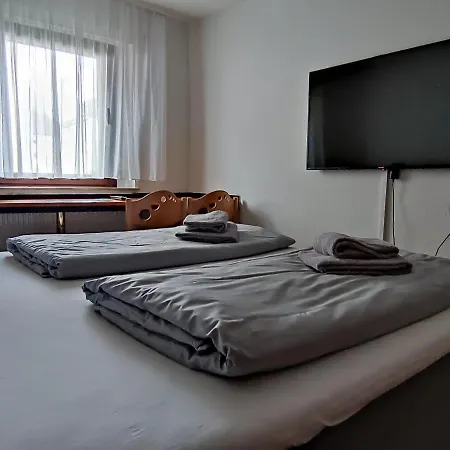 酒店 泽林内霍夫旅馆 3*